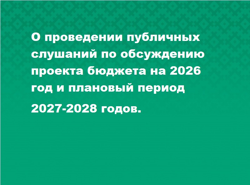 Публичные слушания по обсуждению проекта бюджета на 2026 год и плановый период 2027-2028 годов. Публичные слушания по обсуждению проекта бюджета на 2026 год и плановый период 2027-2028 годов..